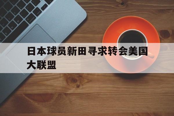日本球员新田寻求转会美国大联盟